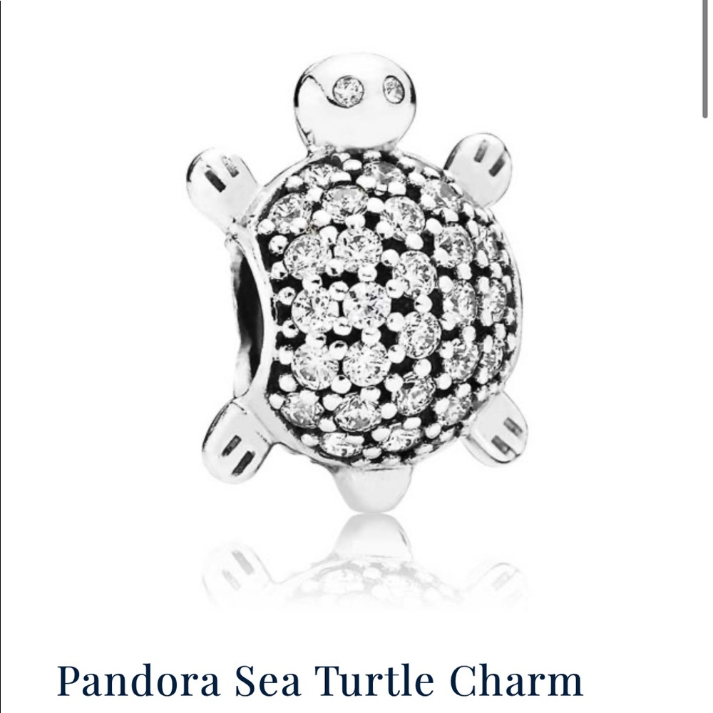 Turtle Pandora Charm